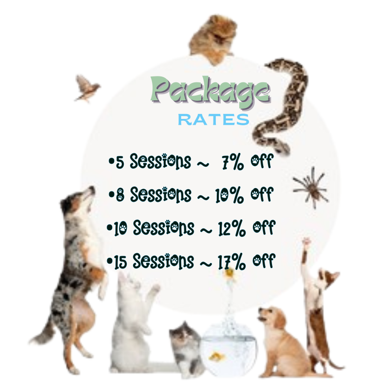 Pet Walks & Exercise