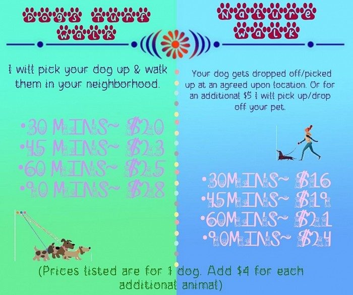 Pet Walks & Exercise