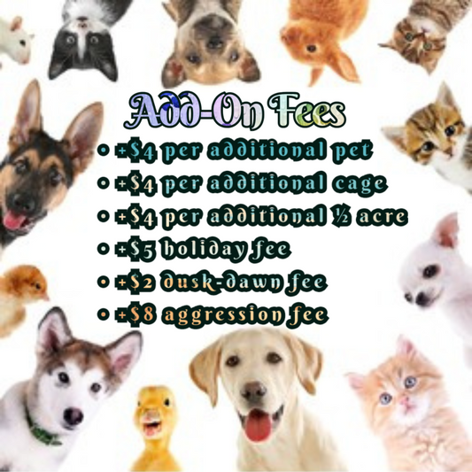 Pet Walks & Exercise